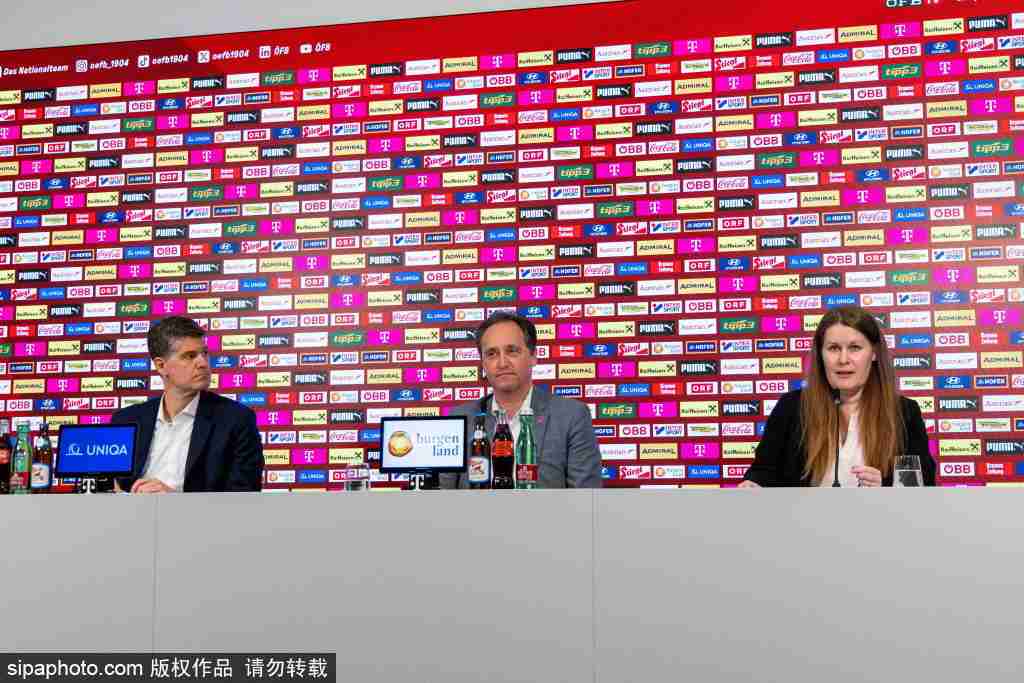 前沙尔克队长费尔曼宣布退役:37岁回顾德甲亚军之路,国家队梦未圆的背后故事!